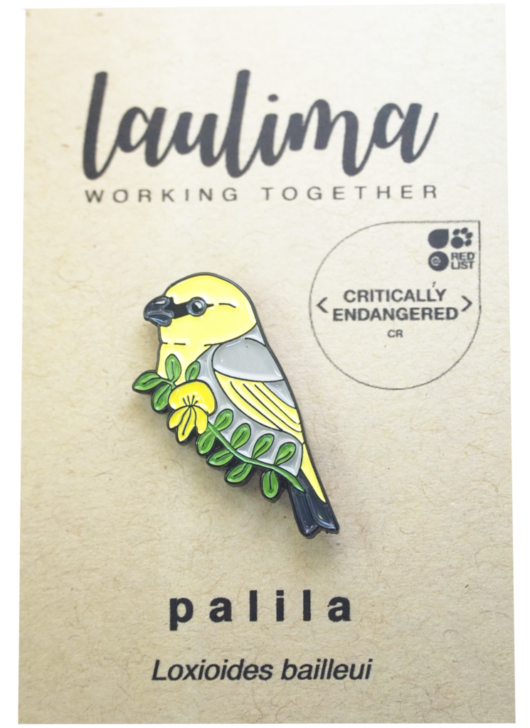 Pin, Palila (Laulima)