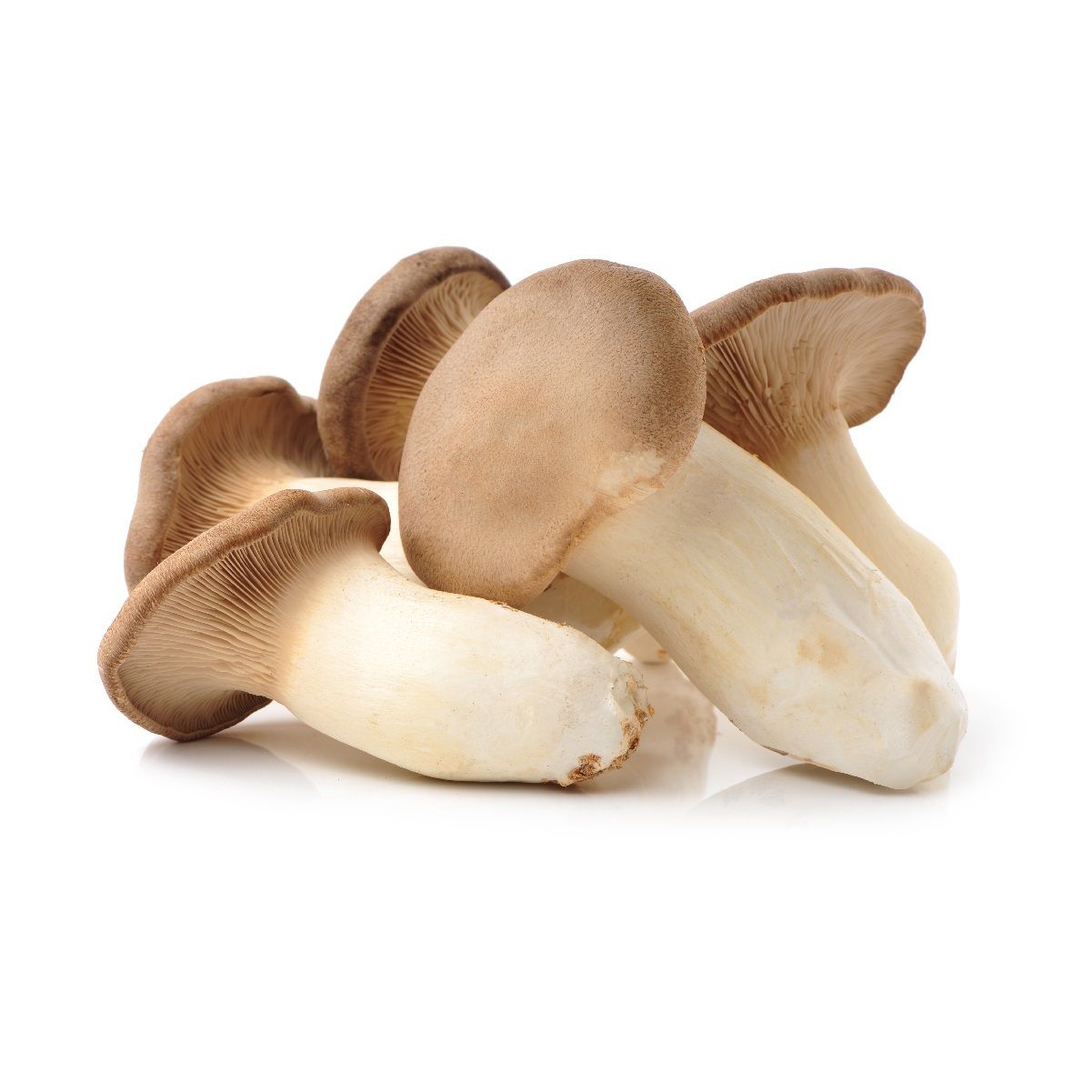 Mushrooms, Aliʻi Oyster (4 Oz.)