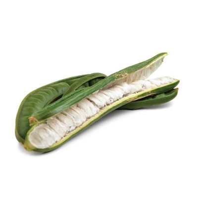 Ice Cream Bean (8 Oz.)