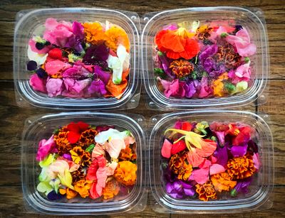 Edible Flowers - Organic (1 Oz.)
