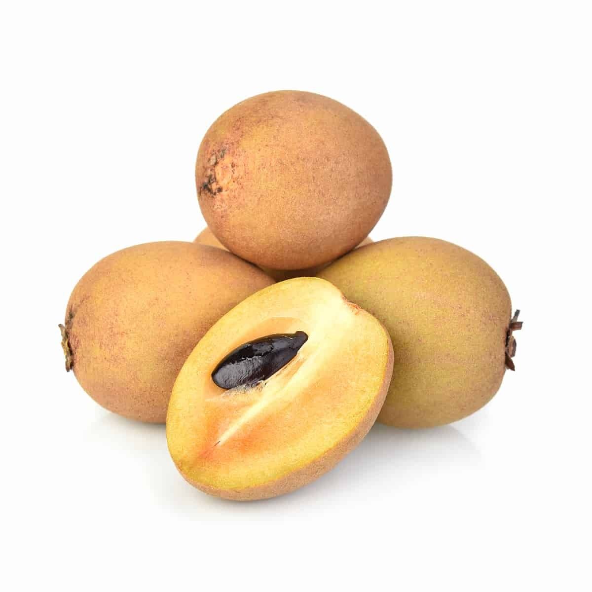 Chico Sapote (6 Oz.)