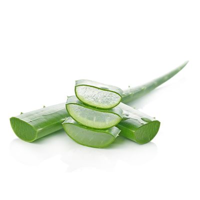 Aloe Vera (2 Lb.)