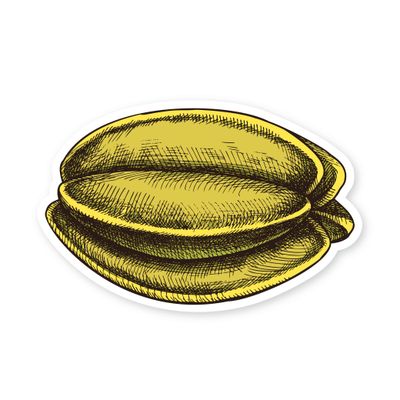 Sticker, Fruit - Starfruit (2.5&quot; x 1.5&quot;)