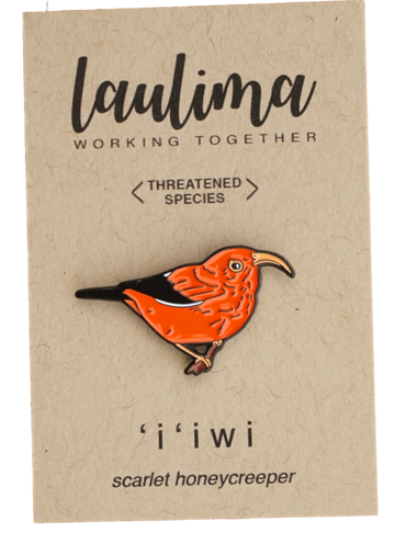 Pin, ʻIʻiwi  (Laulima)