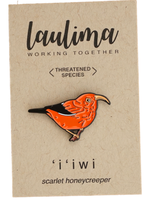 Pin, ʻIʻiwi  (Laulima)