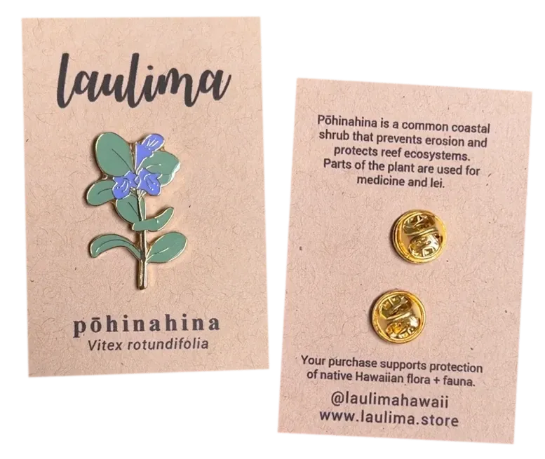 Pin, Pōhinahina (Laulima)