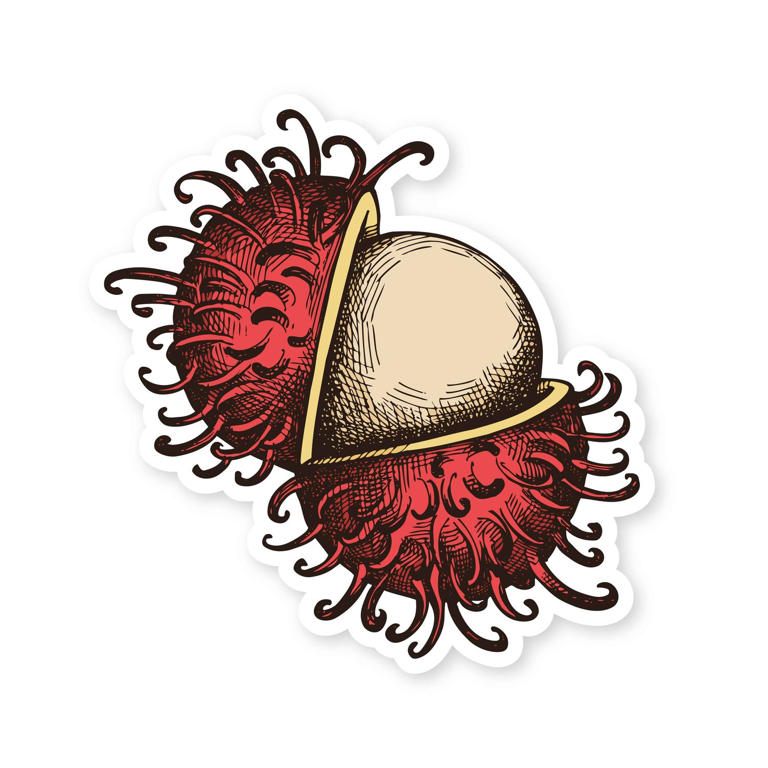 Sticker, Fruit - Rambutan (2.5&quot; x 2.5&quot;)