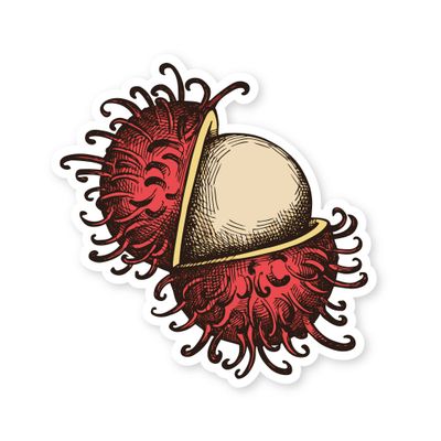 Sticker, Fruit - Rambutan (2.5&quot; x 2.5&quot;)