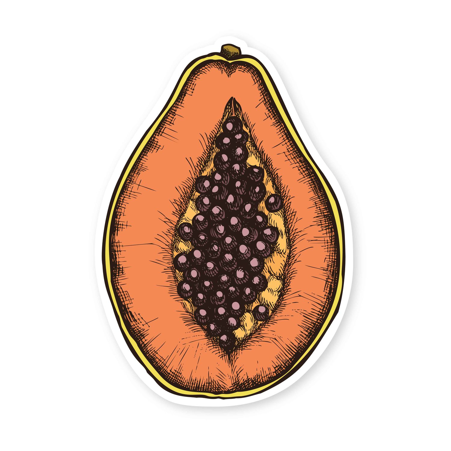 Sticker, Fruit - Papaya (2&quot; x 3&quot;)