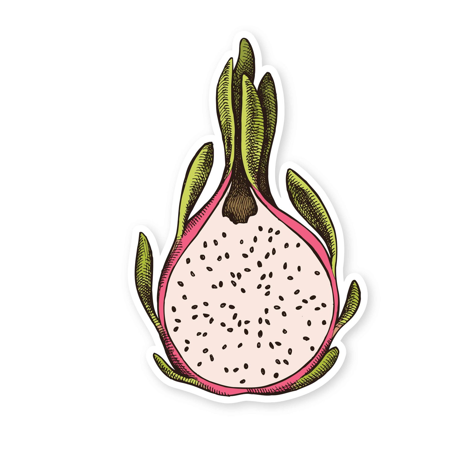 Sticker, Fruit - Dragon Fruit (1.9&quot; x 3&quot;)