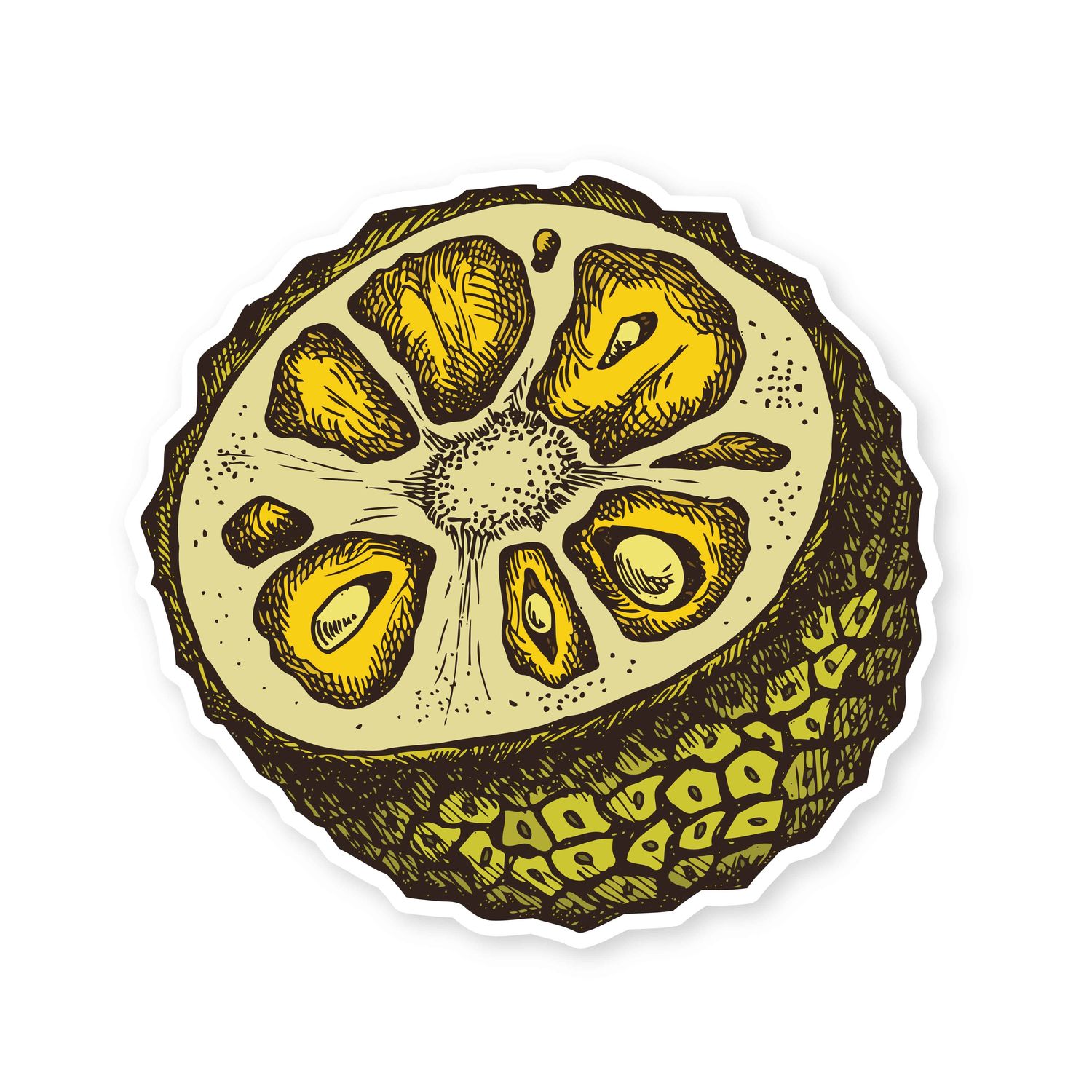 Sticker, Fruit - Jackfruit (2&quot; x 2&quot;)