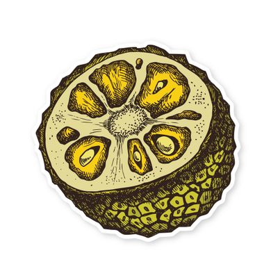 Sticker, Fruit - Jackfruit (2&quot; x 2&quot;)