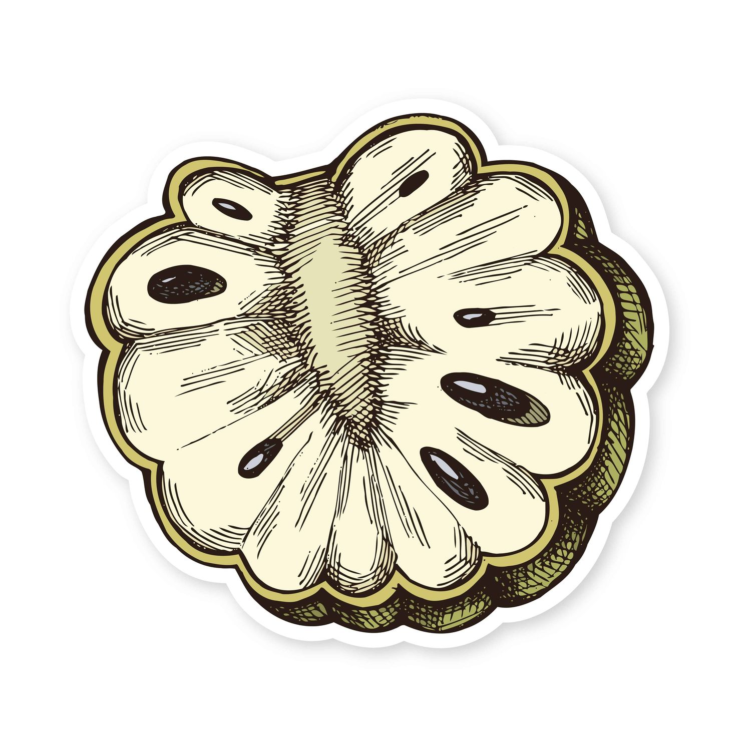 Sticker, Fruit - Cherimoya (2&quot; x 1.8&quot;)