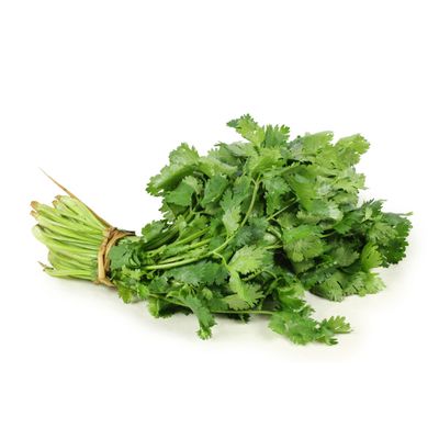 Herbs, Organic Cilantro (2 oz.)