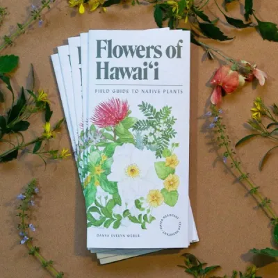 Field Guide, Flowers of Hawai&#39;i (Laulima)