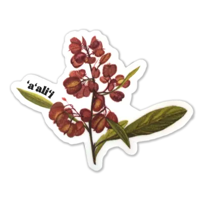Sticker, ʻAʻaliʻi (Laulima)
