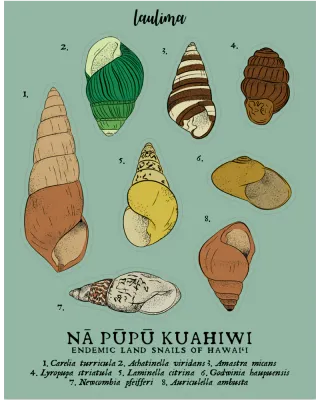 Sticker, Snail Sheet (Laulima)