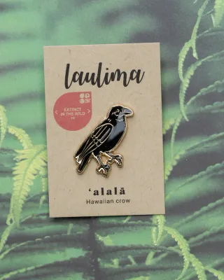 Pin, ʻAlalā (Laulima)