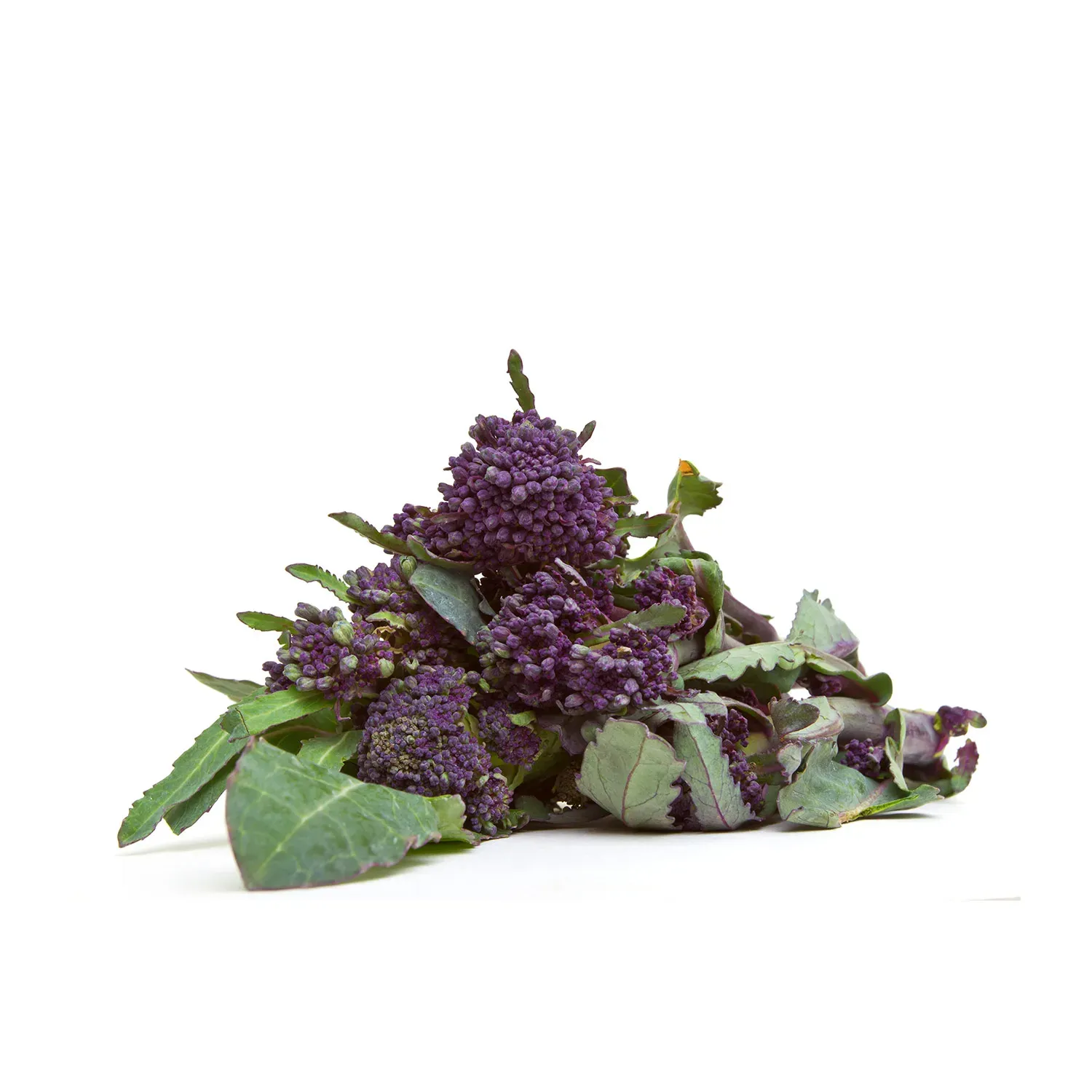 Broccolini (1 lb.)