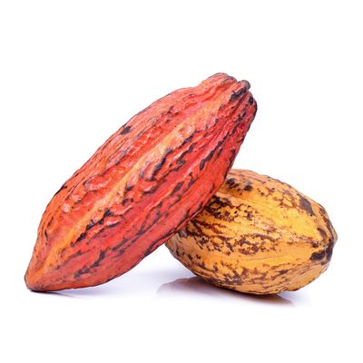 Cacao Pods, Fresh (Hakalau)