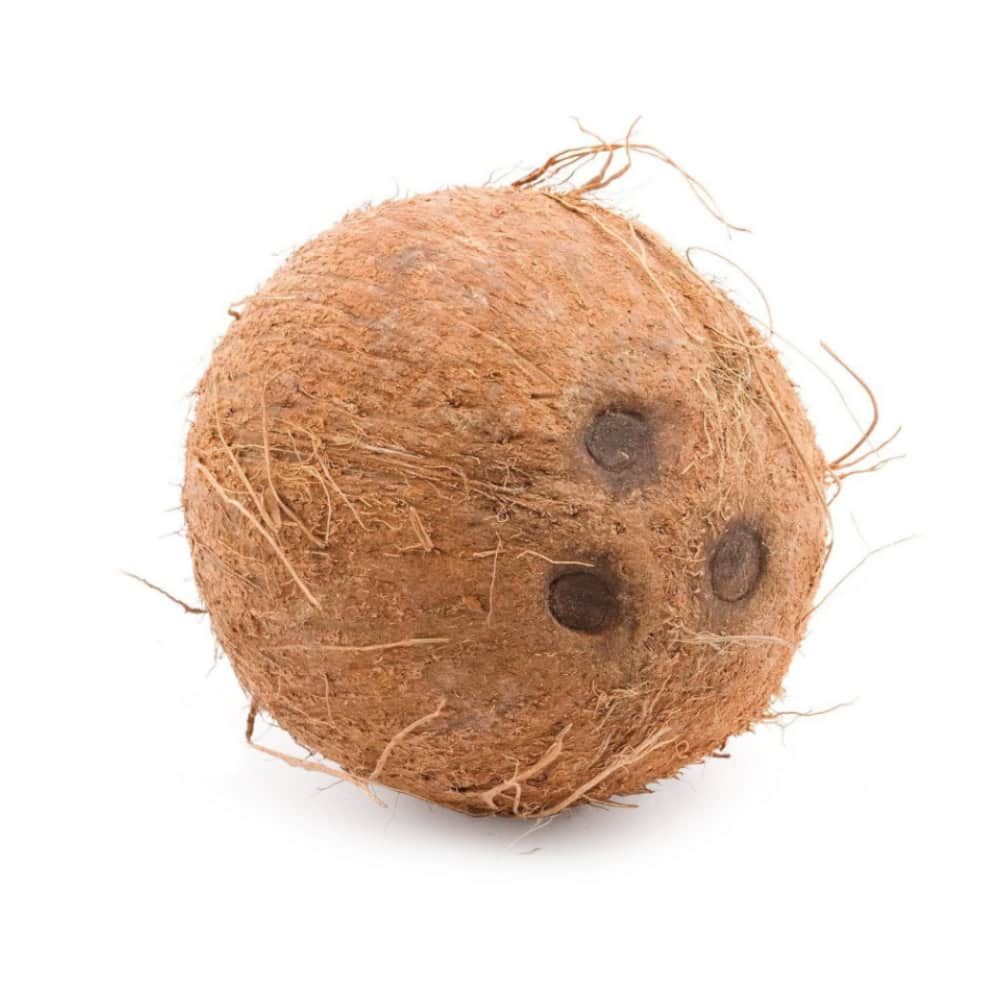 Coconut, Husked