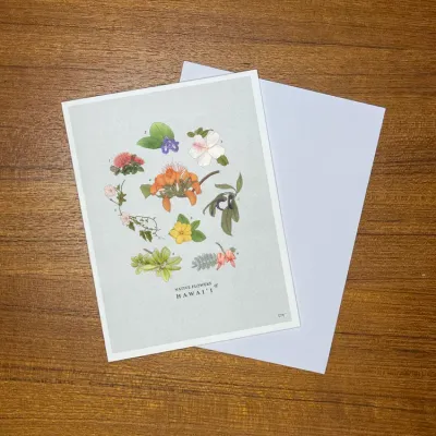 Card, Other - Flowers (Lauren Trangmar)