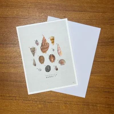Card, Other - Shells (Lauren Trangmar)