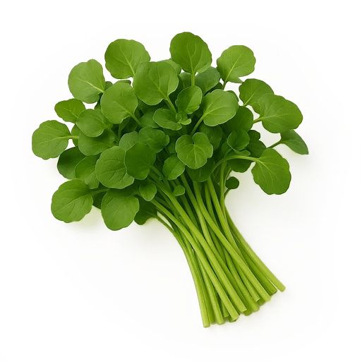 Watercress (1 Lb.)