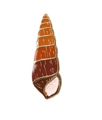 Pin, Pūpū Kani Oe (Laulima)