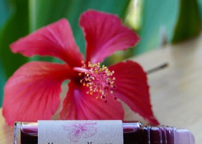 Lip Oil, Indigo Elixirs, Hibiscus (10 mL.)