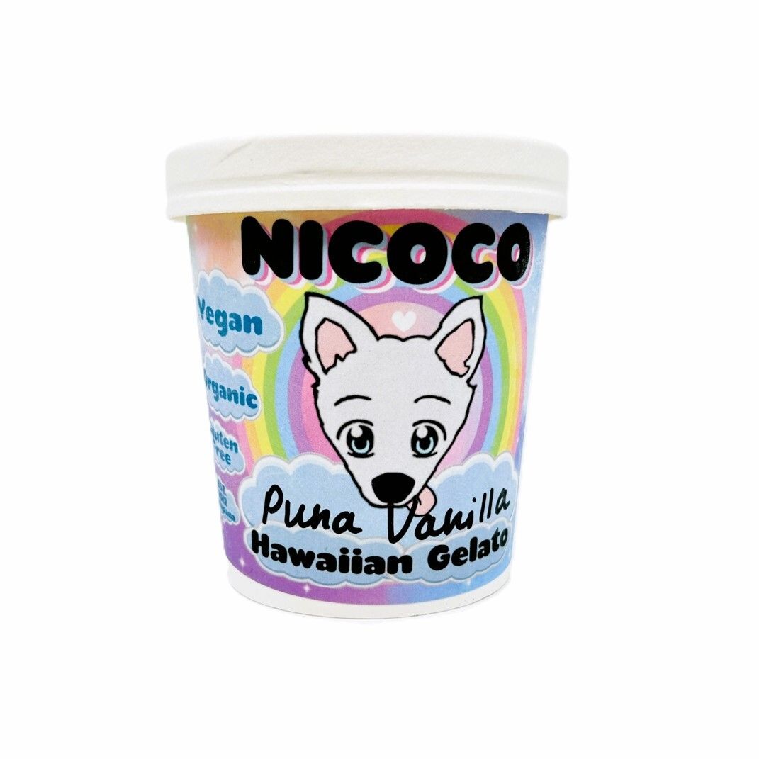 Ice Cream, Nicoco, Dairy Free Puna Vanilla (16 Oz.)