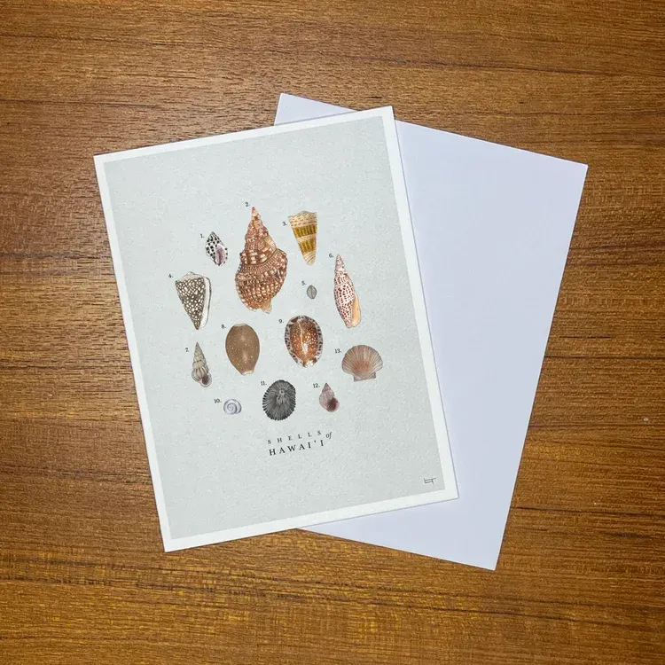 Card, Any Occasion, Lauren Trangmar, Shells