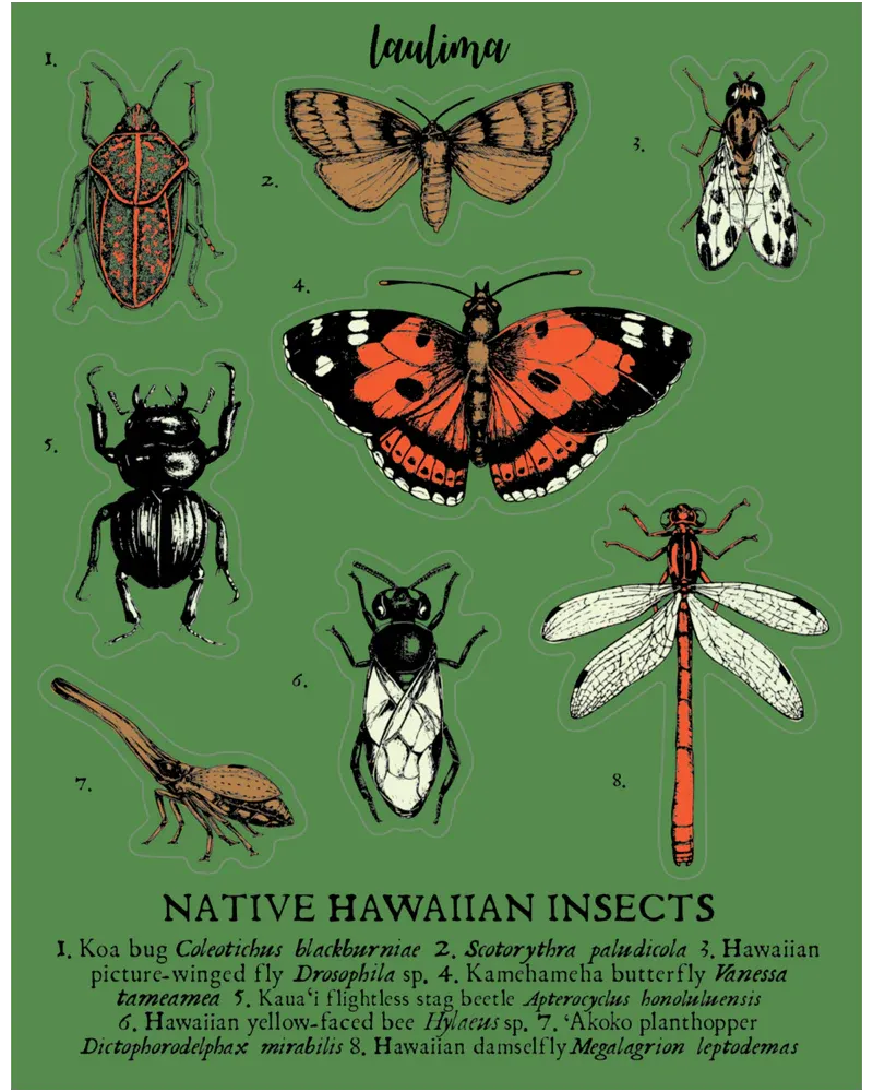 Sticker, Laulima, Bug Sheet