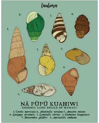 Sticker, Laulima, Snail Sheet