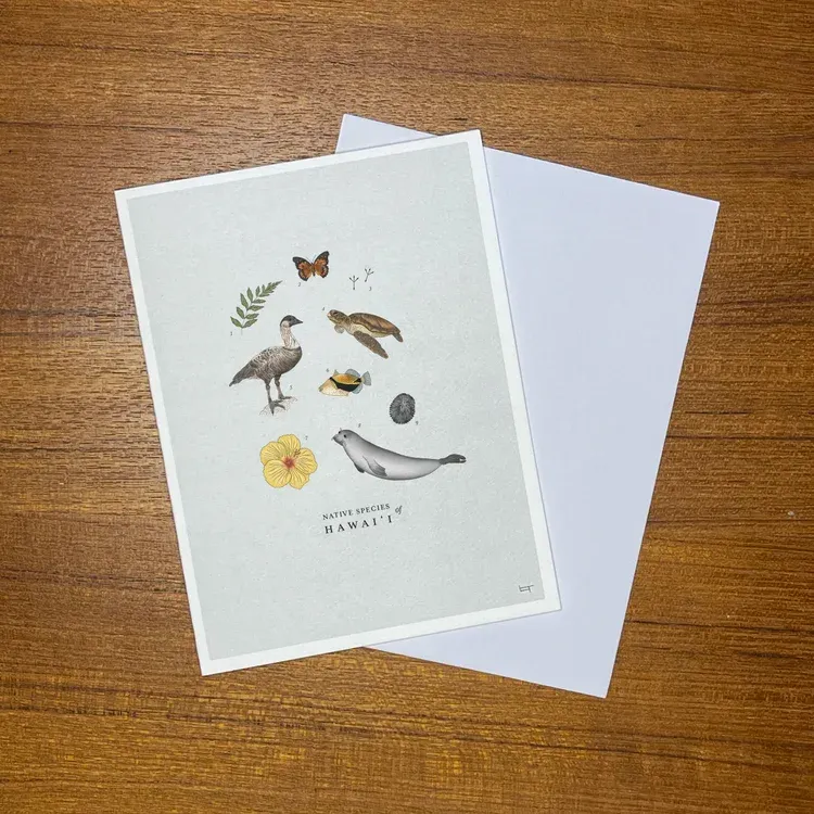 Card, Any Occasion, Lauren Trangmar, Native Species