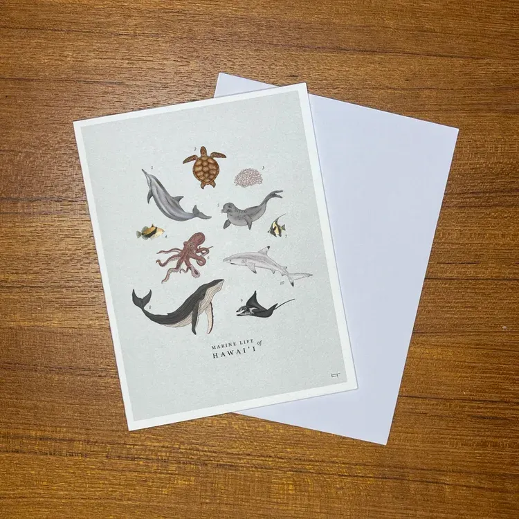 Card, Any Occasion, Lauren Trangmar, Marine Life