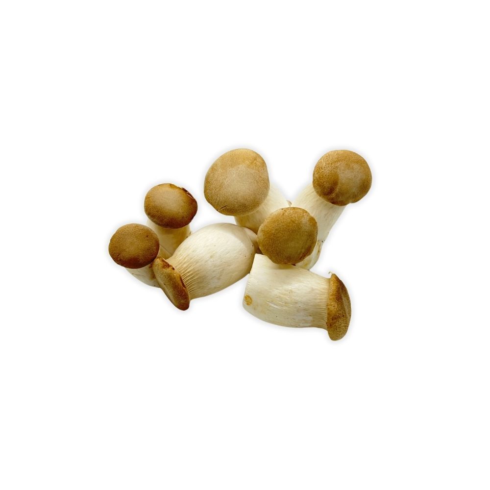 Mushrooms, Mini Aliʻi Oyster (6 Oz.)