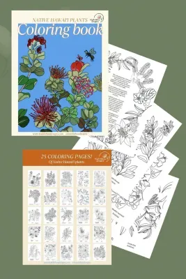 Books, Native Hawaiian Plants Coloring Book (Kaleilehua Designs)