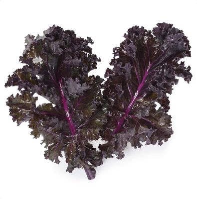 Kale, Baby Redbor (8oz.)