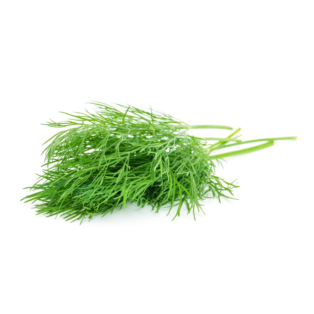 Herbs, Dill (3oz.)