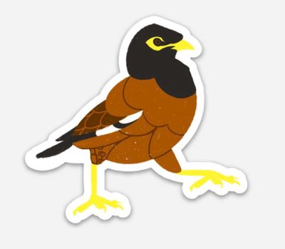 Sticker, B. Miyo Art, Mynah
