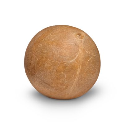 Coconut, Peeled - Young (1lb.)