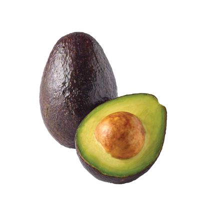 Avocado, Malama Summer Seedling (1 Lb.)