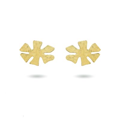 The Pasiphaé Large Studs