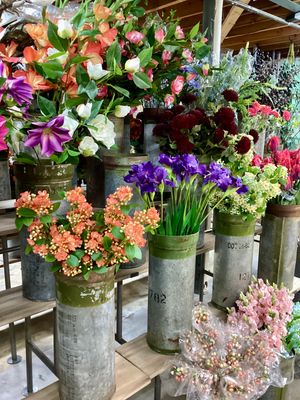 Floral