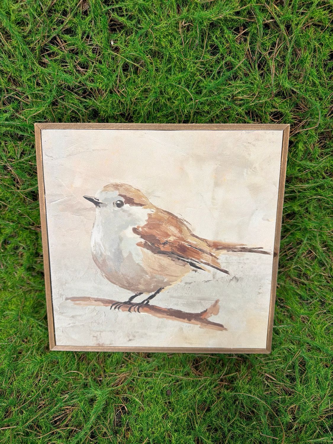 10" Brown &amp; Beige Bird on Branch Canvas
