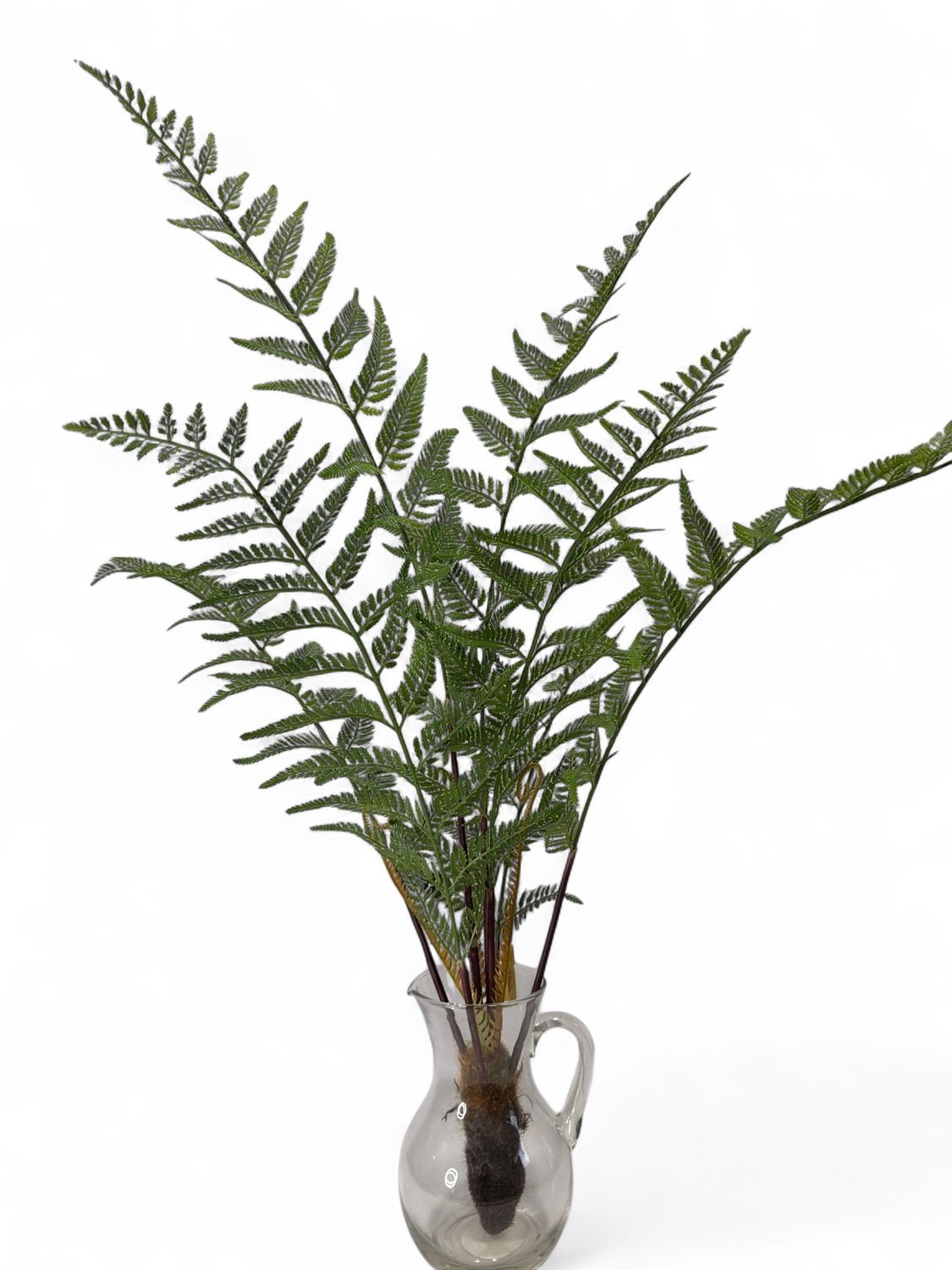 37" Fern Bush