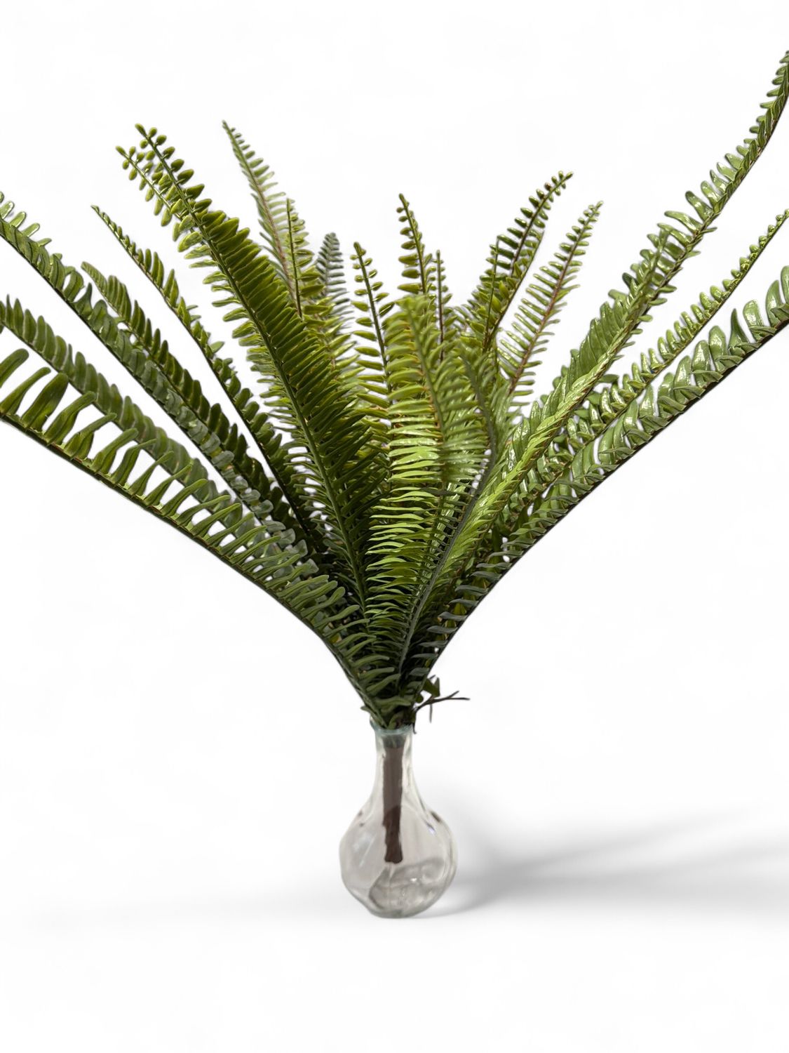 26" Fern Bush