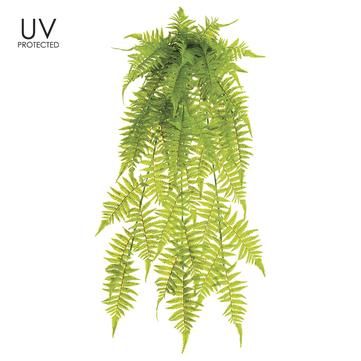 35" UV Protected Boston Fern