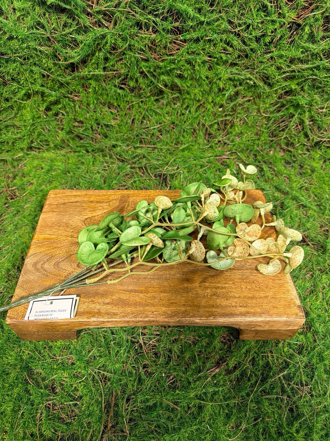 16" Natural Green Hanging Real Touch Pilea Bush